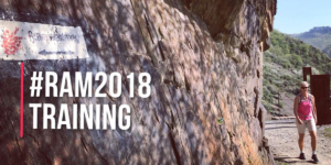 Training 2018 RAM100k