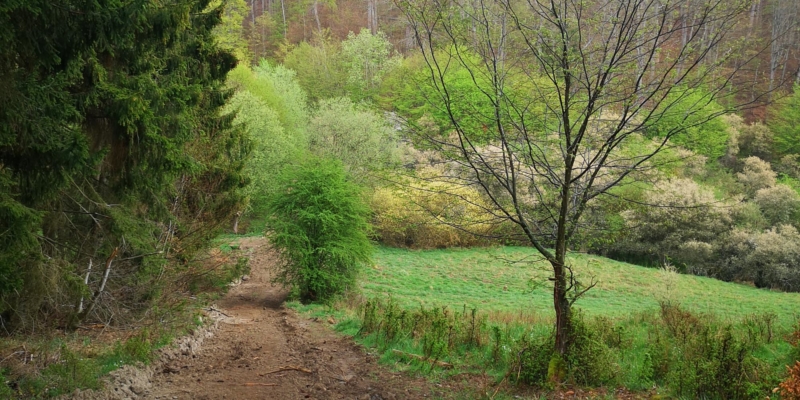 Sahrtal-Trail » RHEIN-AHR-MARSCH